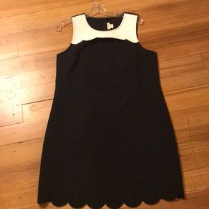 JCrew Dress